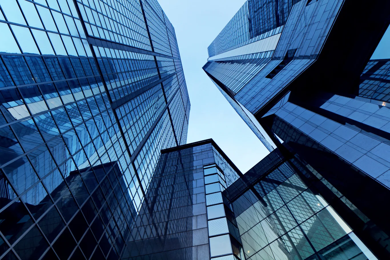 The Diaspora Academy (7)