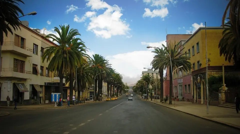 A palm-lined avenue under a bright sky